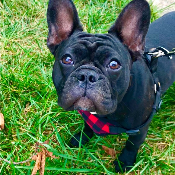 Meet your Posher, Ree - Picture 1 of 2